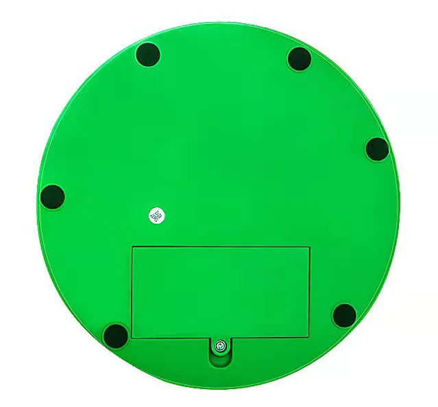 Electric Cat Toy with Mouse Chaser for Pets