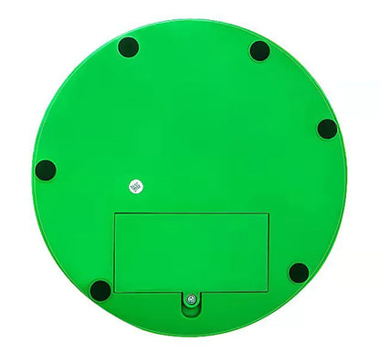 Electric Cat Toy with Mouse Chaser for Pets