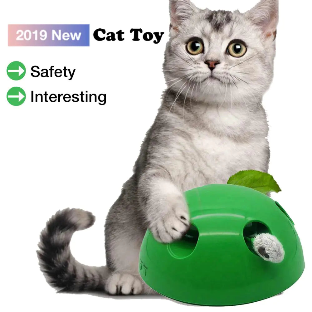 Electric Cat Toy with Mouse Chaser for Pets