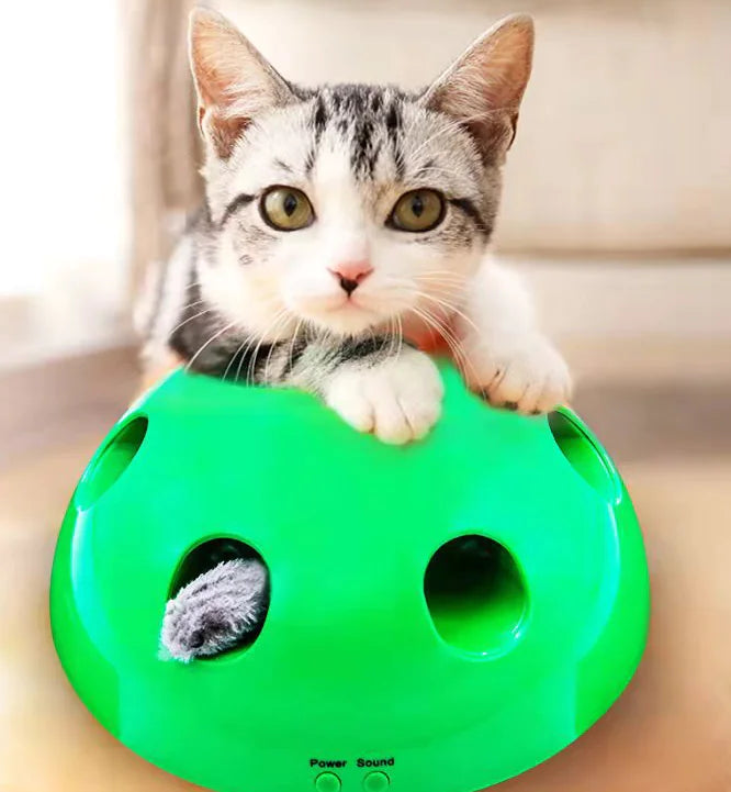 Electric Cat Toy with Mouse Chaser for Pets