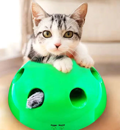 Electric Cat Toy with Mouse Chaser for Pets