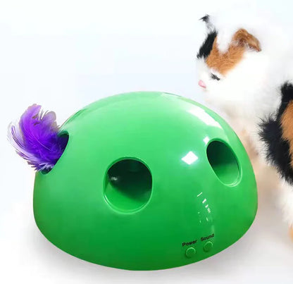 Electric Cat Toy with Mouse Chaser for Pets