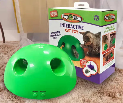 Electric Cat Toy with Mouse Chaser for Pets