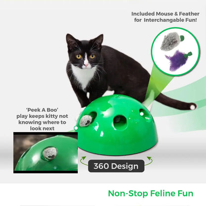 Electric Cat Toy with Mouse Chaser for Pets